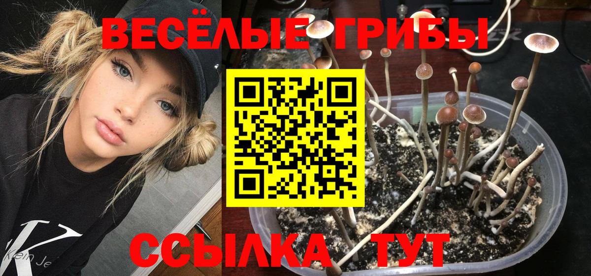 Галлюциногенные грибы мухоморы Краснокаменск